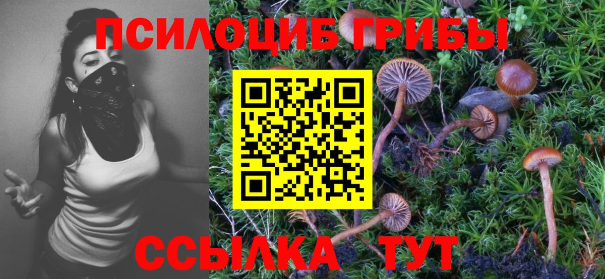 сколько стоит  Псилоцибиновые грибы мицелий  Вход с VPN  Уссурийск 